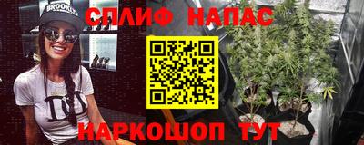 spice Кингисепп