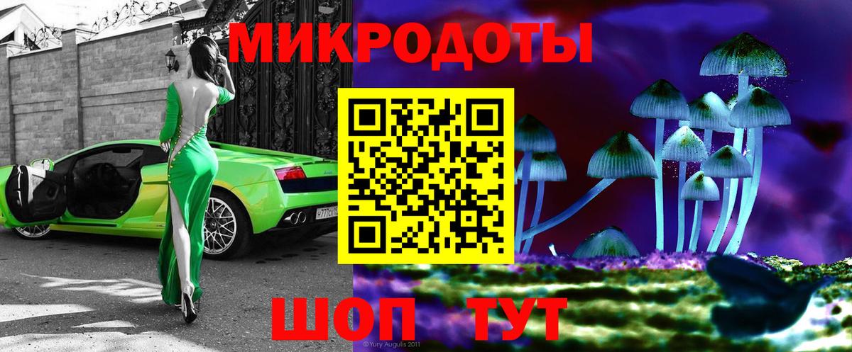 Электрогорск  где купить наркоту  Вход с VPN  Псилоцибиновые грибы мухоморы 
